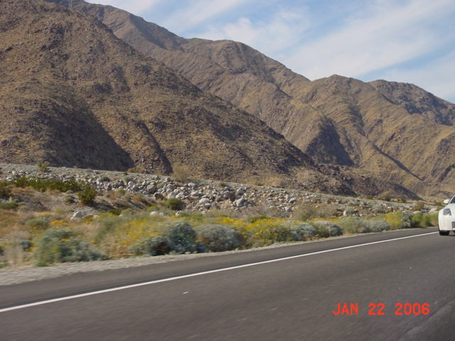 Palm Springs Cruise