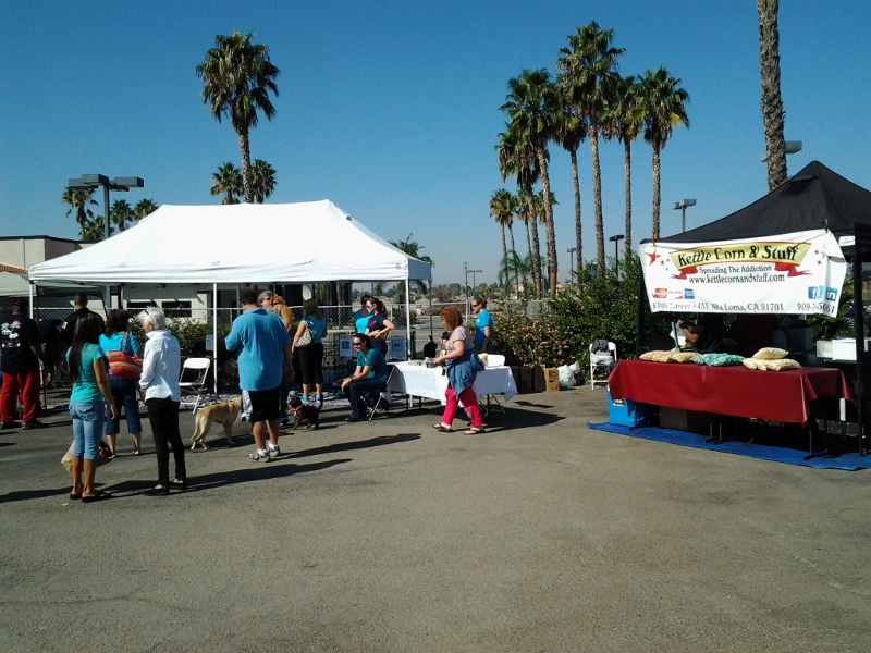 16 San Bernardino City Animal Shelter Adoption Event