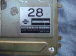 Z31